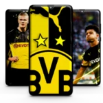 Logo of Dortmund Wallpaper android Application 